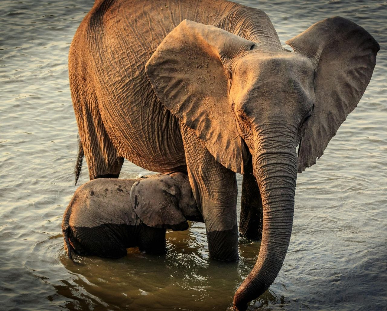 Private bespoke travel across Africa