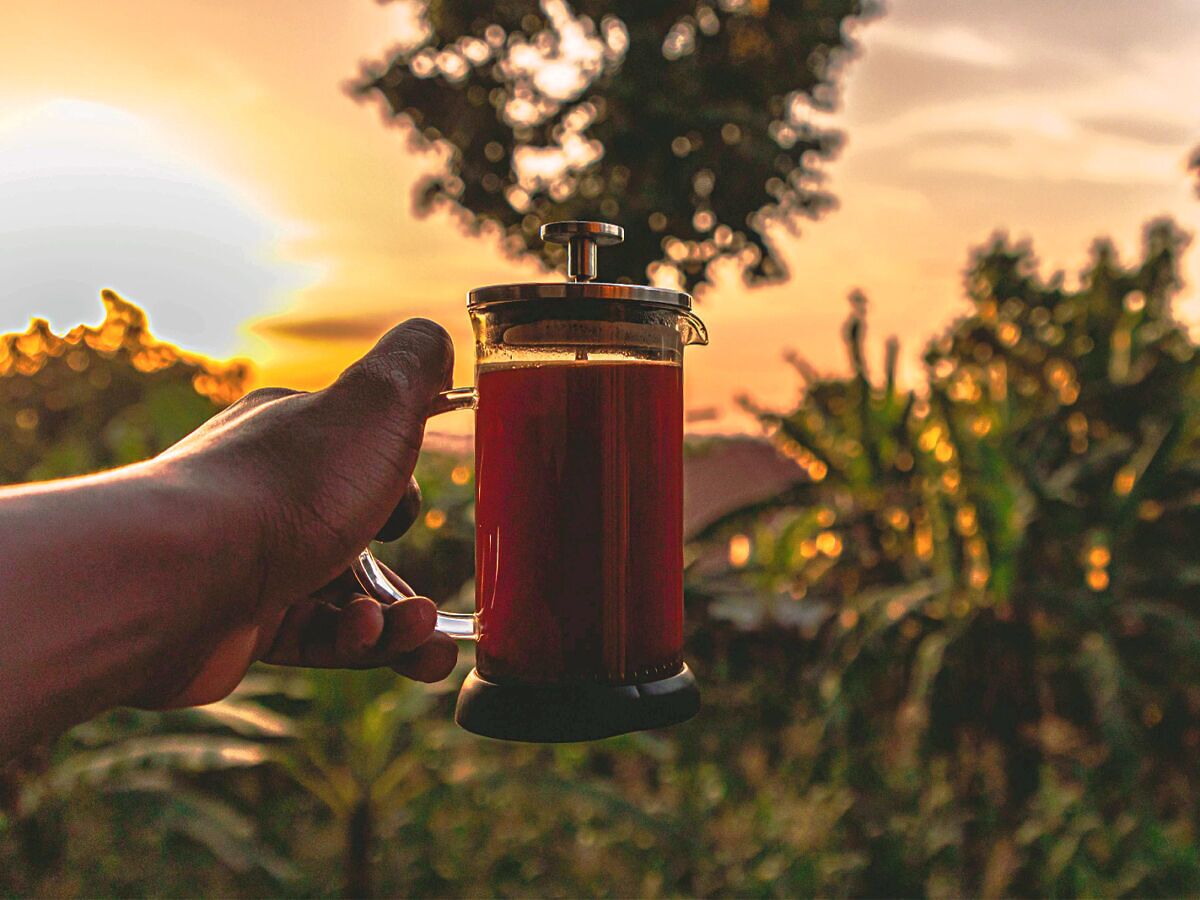 Tea & Coffee Experiences in Kenya