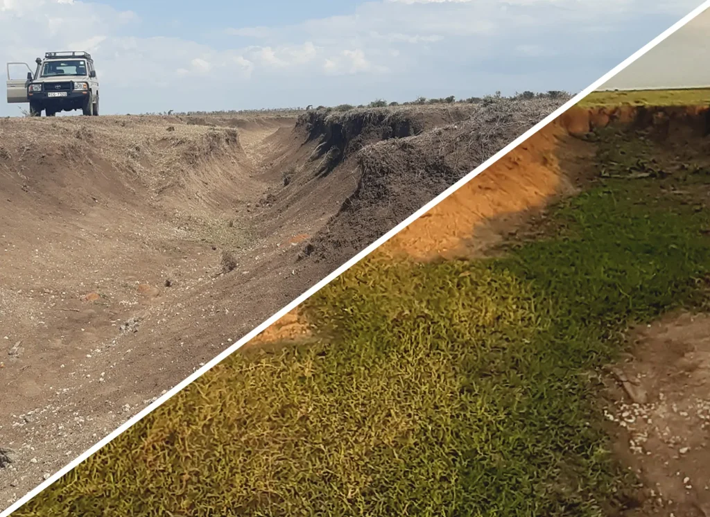 Regenerative Tourism: Restoring Africa’s Rangelands, Communities, and Wildlife Corridors